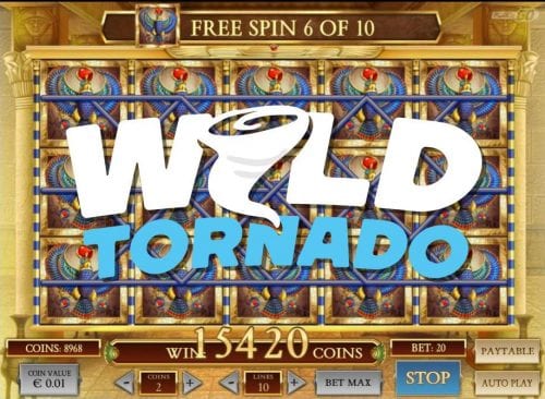 book of dead slot big wins